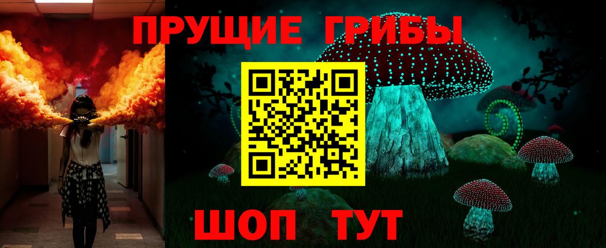 Камышин  Галлюциногенные грибы Magic Shrooms  Вход с VPN 